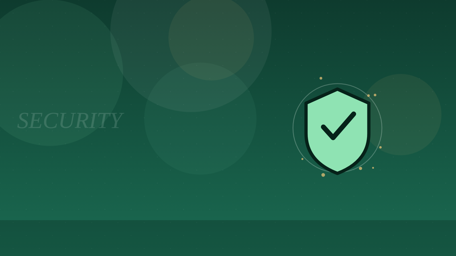 A shield icon with a checkmark representing security testing
